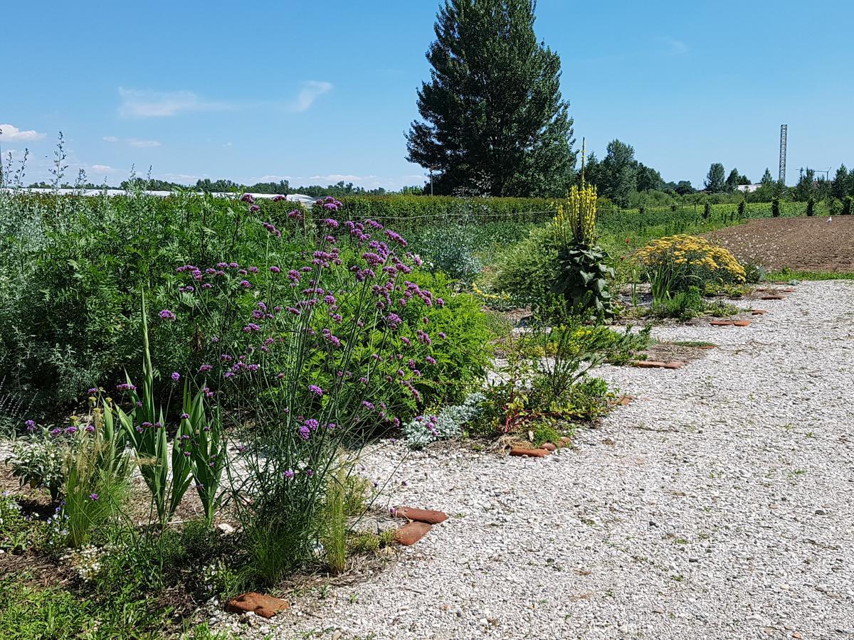 Agriturismo Frascje Dai Spadons Villa Pradamano Dış mekan fotoğraf